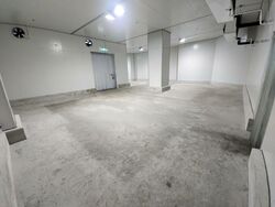 Trivex (D13), Factory #454791311